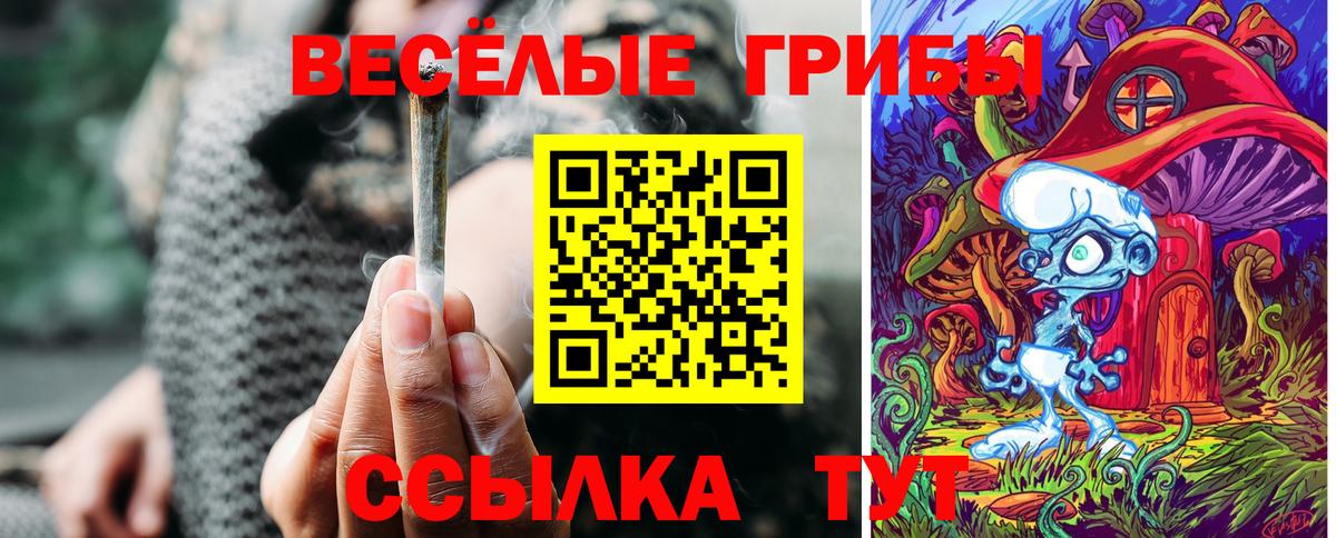 Галлюциногенные грибы GOLDEN TEACHER Кунгур