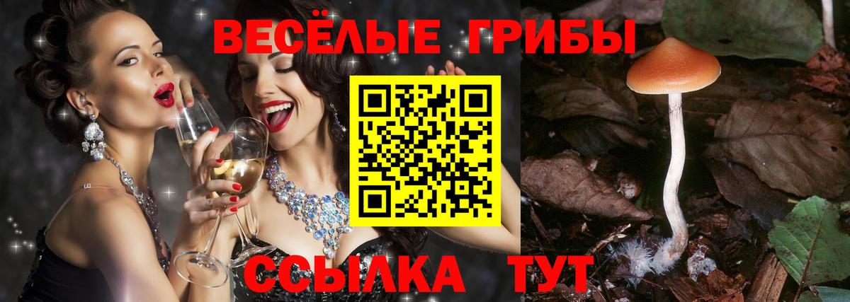 Кунгур  хочу   Галлюциногенные грибы мухоморы  Вход с VPN  Псилоцибиновые грибы ЛСД 